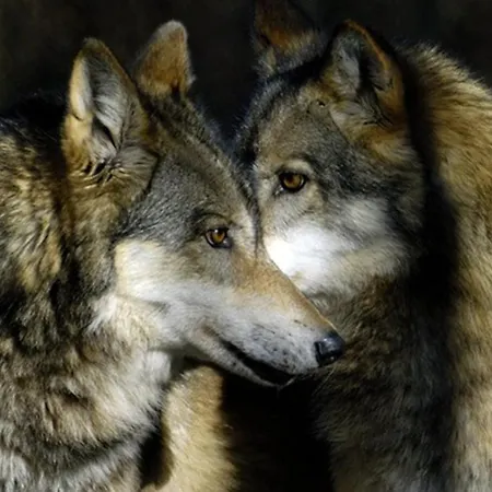 L' Eremo B&B 술모나