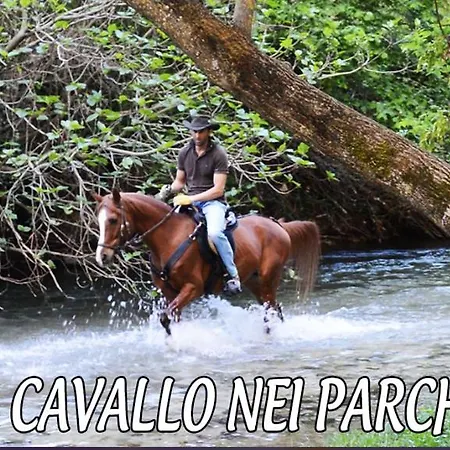 B&B L' Eremo 술모나