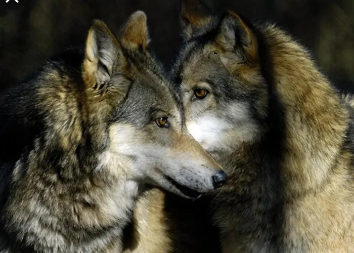 L' Eremo B&B 술모나