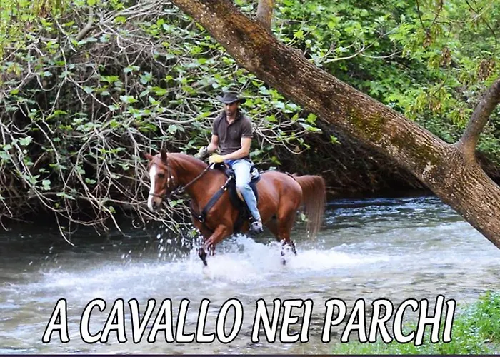 B&B L' Eremo 술모나